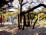 Oak View Park Playscape